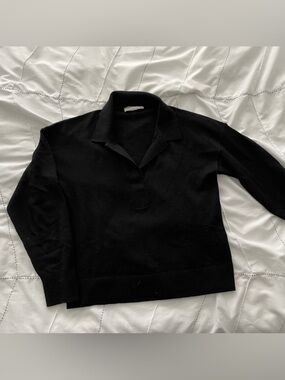 Everlane Black Cashmere Polo Neck Sweater